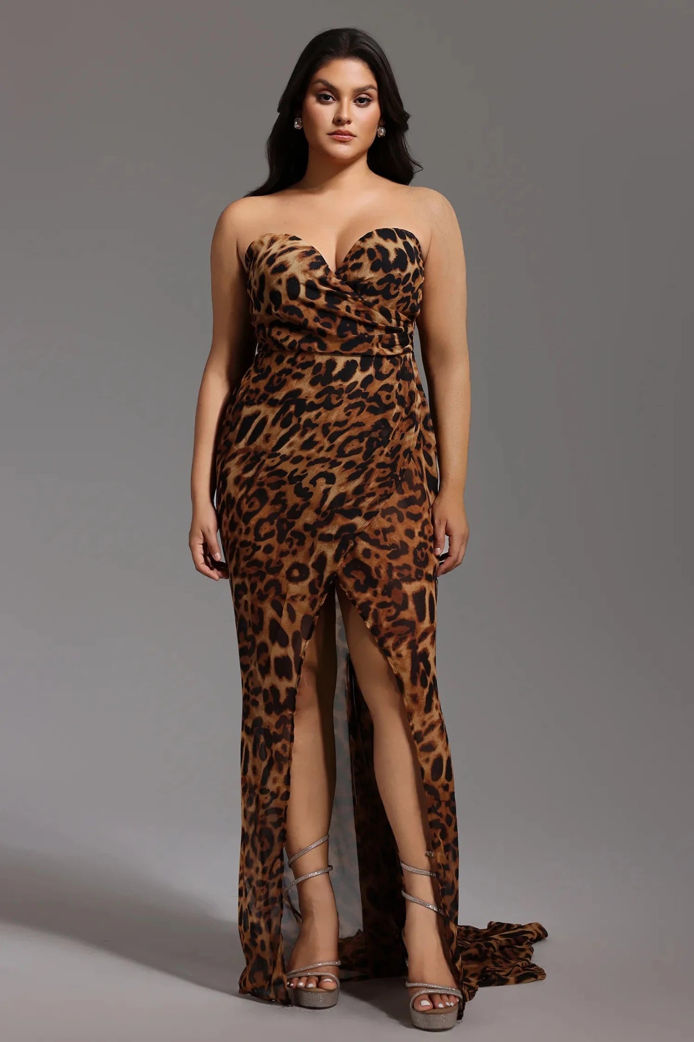 Nava Leopard Mesh Maxi Dress - Styled Collective