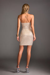 Noor Strapless Mini Dress