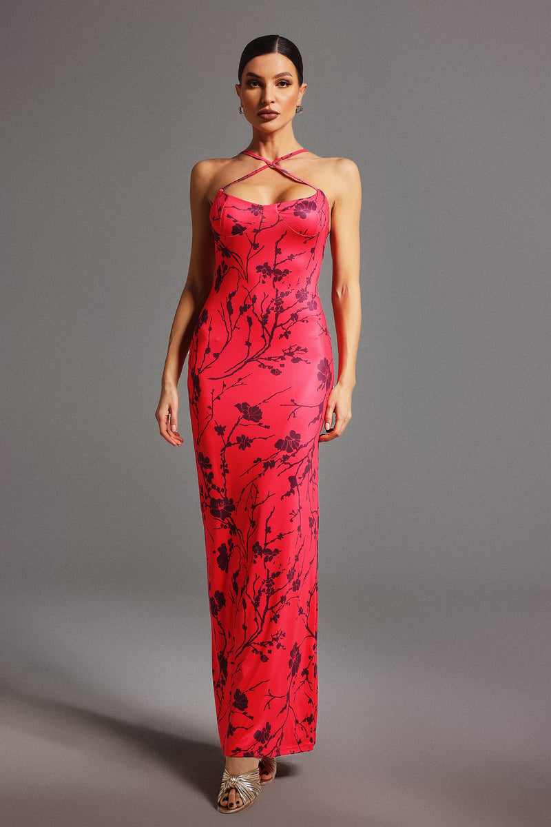 Tatiana Sleeveless Printed Maxi Dress