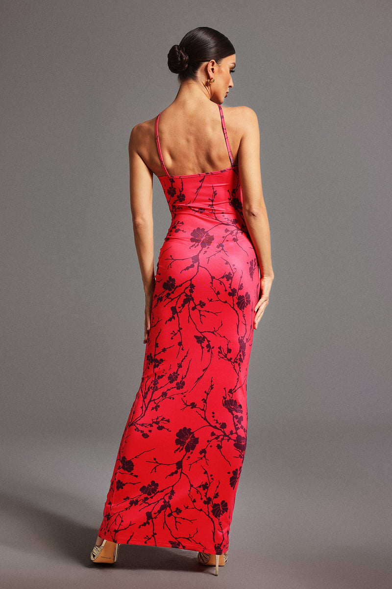 Tatiana Sleeveless Printed Maxi Dress